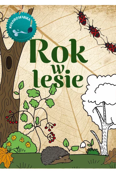 Rok w lesie. Kolorowanka - Gil Wojciech