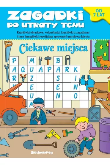 Zagadki do utraty tchu. Ciekawe miejsca - Anna Jackowska