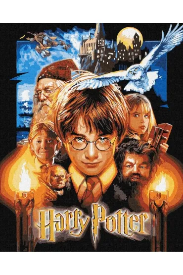 Ideyka Malowanie po numerach - Harry Potter metal 40x50cm