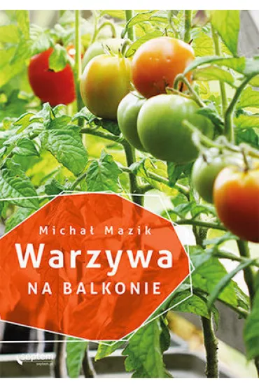 Warzywa na balkonie - Micha� Mazik