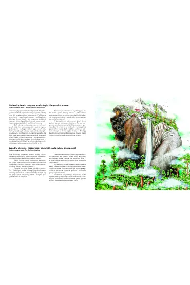 �wiat koloru. Podr� przez kolorowanie - Kerby Rosanes