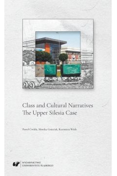 eBook Class and Cultural Narratives. The Upper Silesia Case pdf