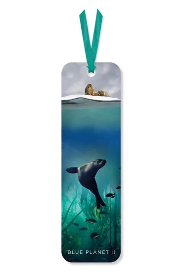 Museums & Galleries Zak�adka do ksi��ki Galapagos Sea Lion
