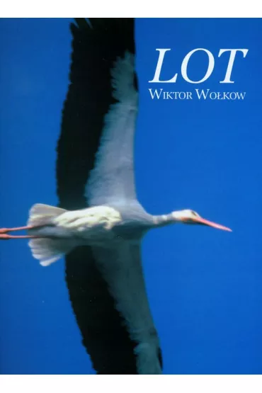 Lot - Wiktor Wo�kow