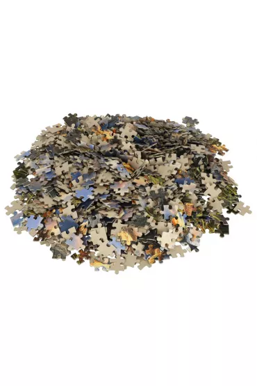 Puzzle 1000 el. Jaki ojciec taki syn Castorland