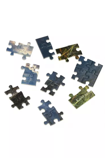 Puzzle 1000 el. Jaki ojciec taki syn Castorland