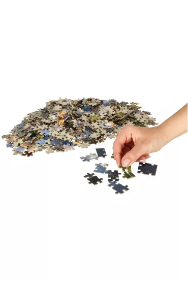 Puzzle 1000 el. Jaki ojciec taki syn Castorland