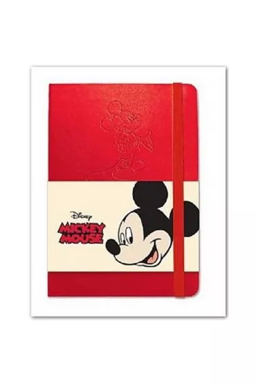 Canpol Notes z gumk� B5 Disney DNB5-96K kratka 96 kartek