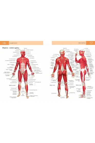 Anatomia ruchu. Podr�cznik �wicze� - Ken Ashwell