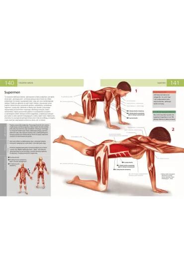 Anatomia ruchu. Podr�cznik �wicze� - Ken Ashwell