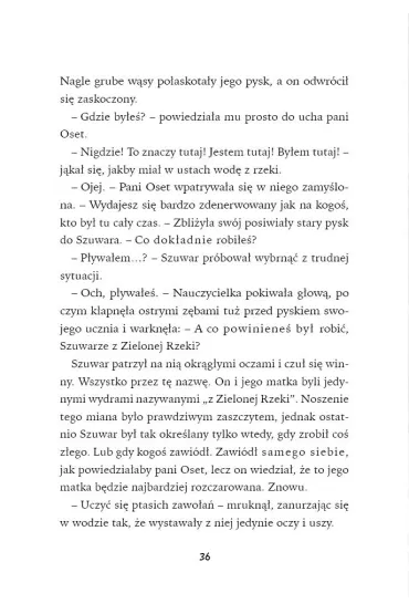 Opowie�� z Zielonej Rzeki. Zielona Rzeka. Tom 1 - Holly Webb