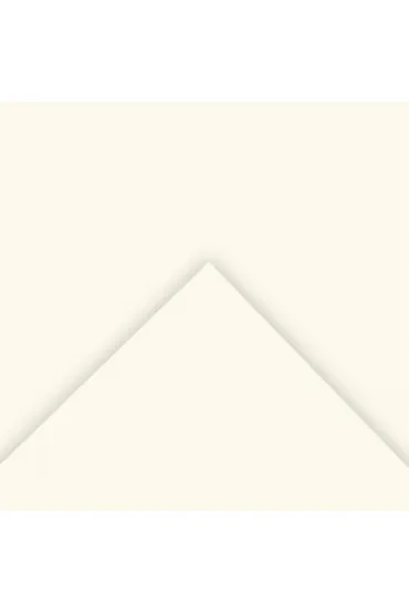 Canson Karton Colorline per�owy 50x65 cm, 150g, 25 arkuszy/ryza