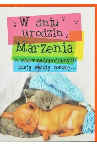Trend Kartka okoliczno�ciowa Urodziny TS91