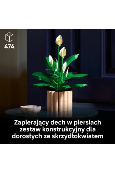 LEGO Botanicals Skrzyd�okwiat 11504