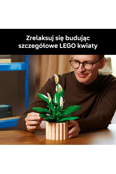 LEGO Botanicals Skrzyd�okwiat 11504