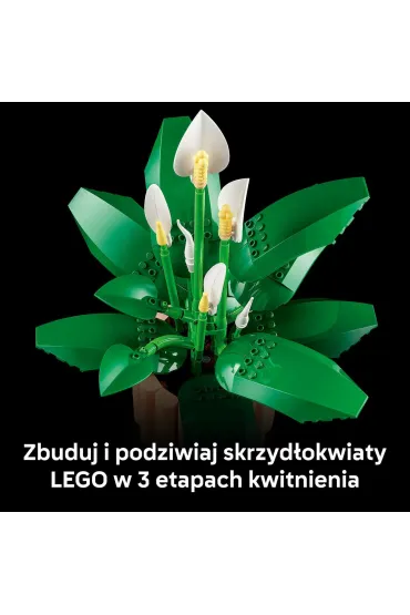 LEGO Botanicals Skrzyd�okwiat 11504