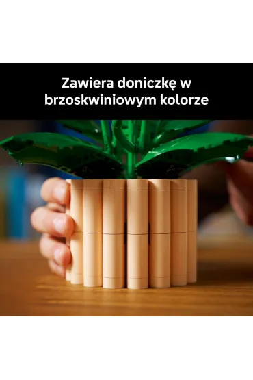 LEGO Botanicals Skrzyd�okwiat 11504