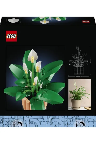 LEGO Botanicals Skrzyd�okwiat 11504