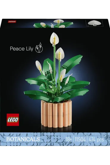 LEGO Botanicals Skrzyd�okwiat 11504