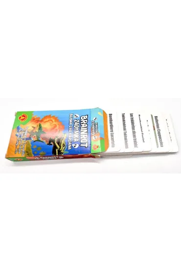 Karty do gry Brainrot Zadymka ALEXANDER 31553