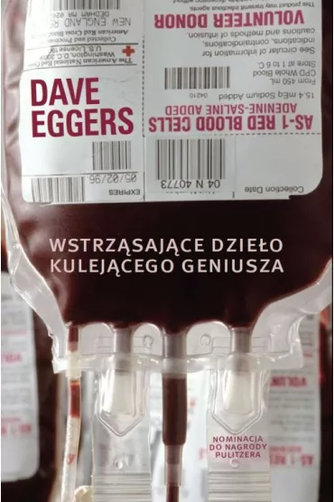 Wstrz�saj�ce dzie�o kulej�cego geniusza - Dave Eggers