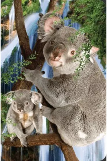 Worth Keeping Mini kartka 3D Koala