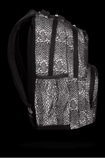 Plecak 2-komorowy Coolpack Flash Dragon