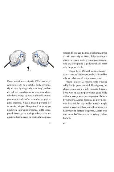 Vilde i zwyci�ski hobby horse - Jenny Bicho