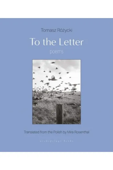 To the Letter - Tomasz R�ycki