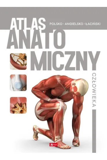 Atlas anatomiczny cz�owieka