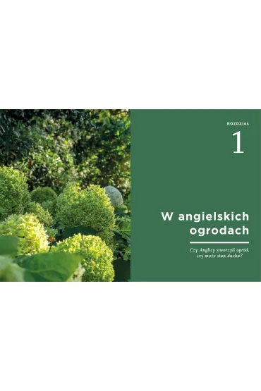 Tajemnice angielskiego ogrodu - Katarzyna  Bellingham