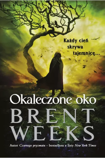 eBook Okaleczone oko mobi epub - Brent Weeks