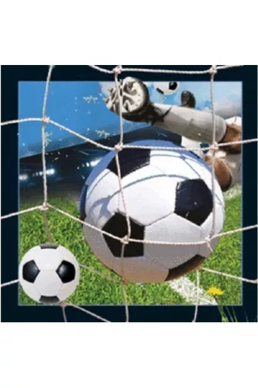 Worth Keeping Magnes 3D Pi�ka no�na