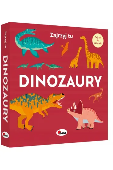 KSIAZECZKA EDUK 190X190 OPR TW DINOZAURY AWM