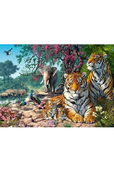 Puzzle 300 el. Tiger Sanctuary Castorland