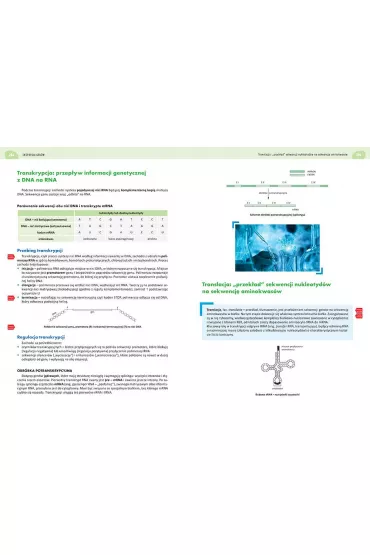 Biologia. Poziom rozszerzony. Matura 2024 - Kornelia Wjcik