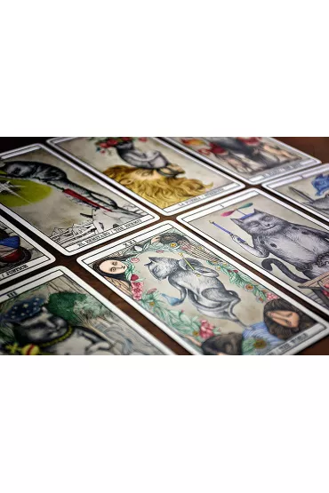 Tarot The Cats by Fournier