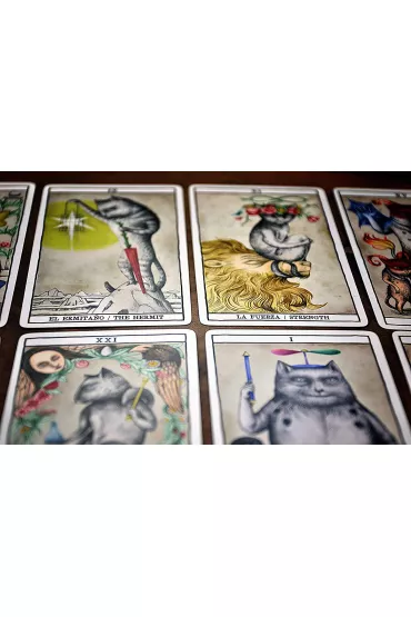 Tarot The Cats by Fournier
