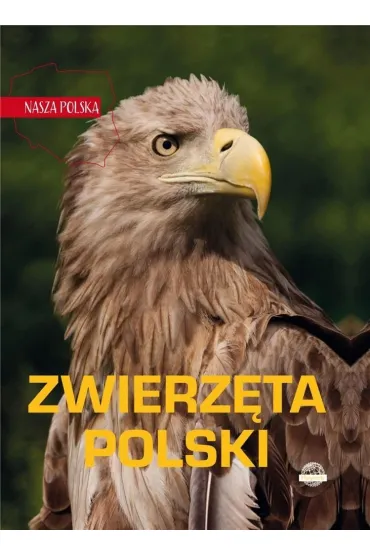 Nasza Polska. Zwierz�ta Polski
