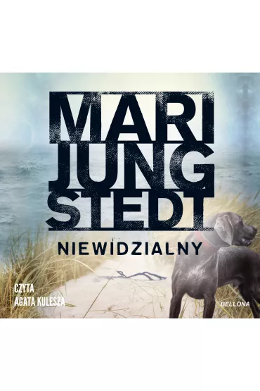Audiobook Niewidzialny. Inspektor Anders Knutas. Tom 1 mp3 - Mari Jungstedt