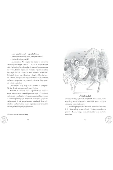Porwanie w R�ogrodzie - Renata Opala