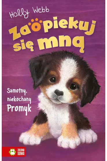 Samotny, niekochany Promyk. Zaopiekuj si� mn� - Holly Webb