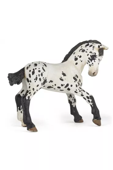 �rebi� Appaloosa