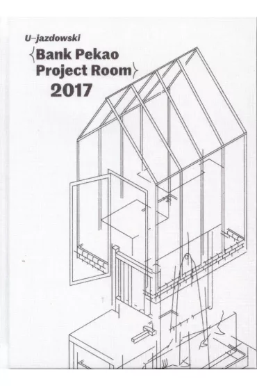 Bank Pekao Project Room 2017 - Kamil  Kuskowski