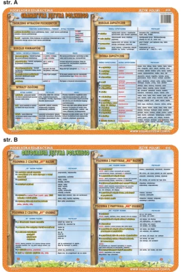 Visual System Podkadka edukacyjna Gramatyka i ortografia jzyka polskiego