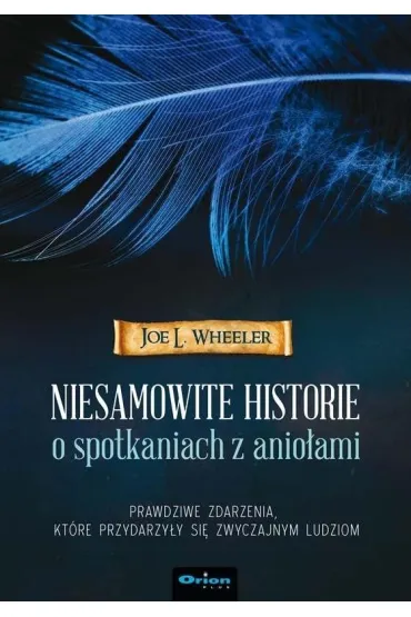 Niesamowite historie o spotkaniach z anio�ami - Joe L Wheeler