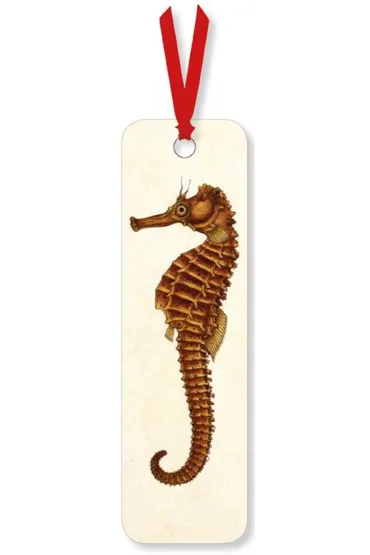Museums & Galleries Zak�adka do ksi��ki A Seahorse