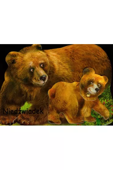 Nied�wiadek LIWONA - Rafa� Wejner