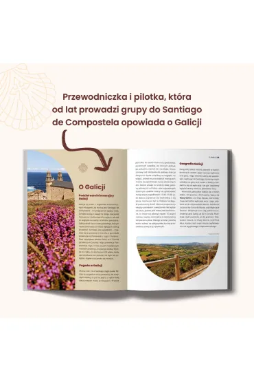 Camino de Santiago. Najpi�kniejsze szlaki piesze i rowerowe - Eliza  Szymaniak