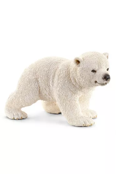 M�ody mi� polarny